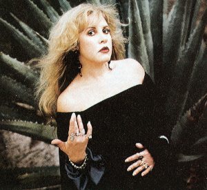 --Stevie Nicks--